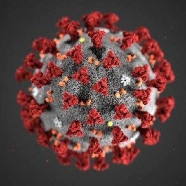 image.Corona
